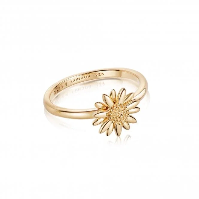 Bangle - Style Fashion Rings in Rose - Gold - Plated Aluminum with Etched PatternsEnglish Daisy Rope 18ct Gold Plated Ring SR512_GP