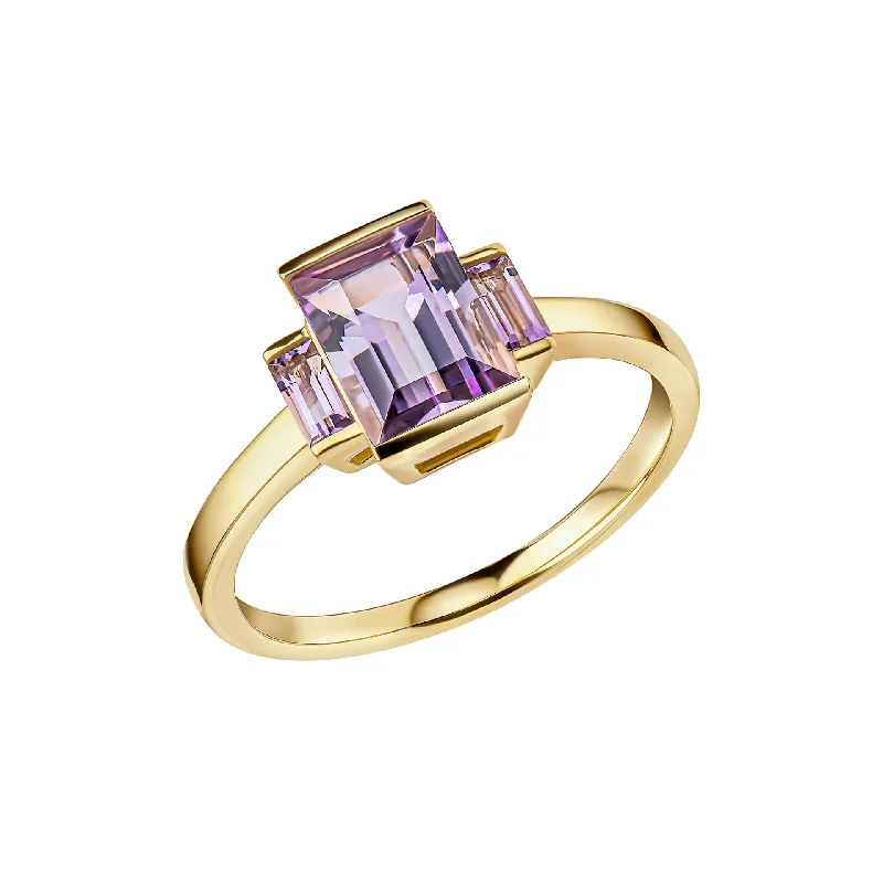 Enamel - Coated Fashion Rings in Bright Colors with Animal - Print Patterns9ct Gold Amethyst Ring GR636M